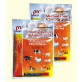 Multivitamin & Amino Acid